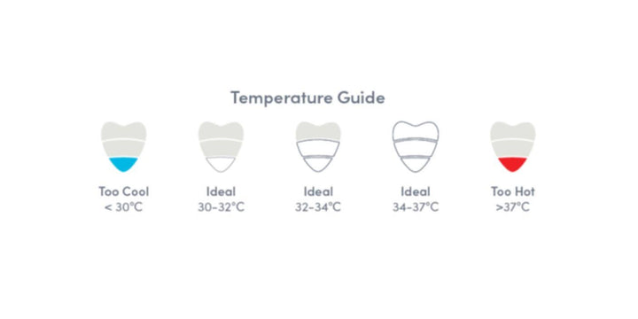 Shnuggle Badethermometer Kieselstein